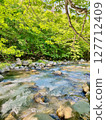 Fresh green and mountain stream 127712409
