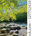 Fresh green and mountain stream 127712410