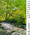Fresh green and mountain stream 127712411