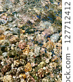 Water surface of a stream 127712412