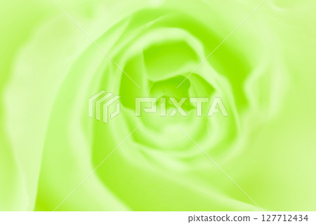 玫瑰/花瓣背景素材 127712434
