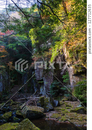 Autumn in Nabari, Mie Prefecture: Autumn leaves at Akame 48 Falls 127712635