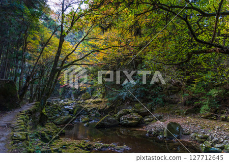 Autumn in Nabari, Mie Prefecture: Autumn leaves at Akame 48 Falls Autumn in Nabari, Mie Prefecture: Autumn leaves at Akame 48 Falls 127712645