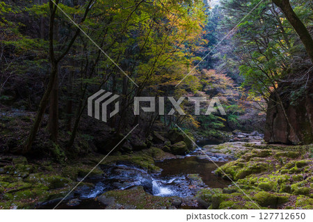 Autumn in Nabari, Mie Prefecture: Autumn leaves at Akame 48 Falls Autumn in Nabari, Mie Prefecture: Autumn leaves at Akame 48 Falls 127712650