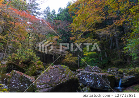 Autumn in Nabari, Mie Prefecture: Autumn leaves at Akame 48 Falls Autumn in Nabari, Mie Prefecture: Autumn leaves at Akame 48 Falls 127712651
