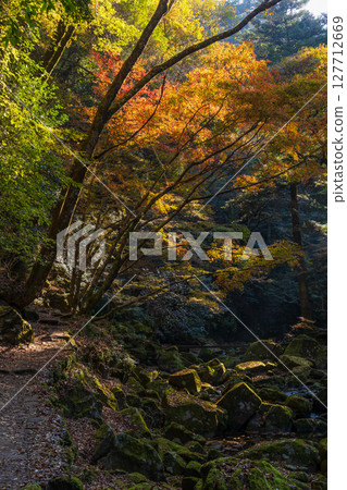 Autumn in Nabari, Mie Prefecture: Autumn leaves at Akame 48 Falls 127712669