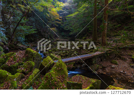 Autumn in Nabari, Mie Prefecture: Autumn leaves at Akame 48 Falls Autumn in Nabari, Mie Prefecture: Autumn leaves at Akame 48 Falls 127712670
