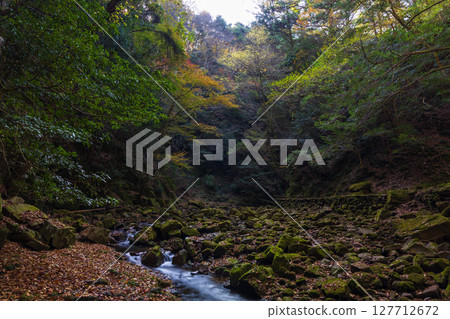 Autumn in Nabari, Mie Prefecture: Autumn leaves at Akame 48 Falls Autumn in Nabari, Mie Prefecture: Autumn leaves at Akame 48 Falls 127712672