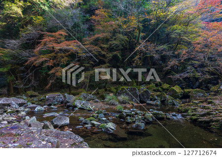 三重縣名張的秋天：赤目四十八瀑的紅葉 127712674