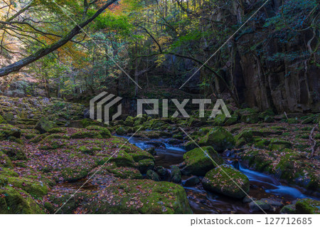 Autumn in Nabari, Mie Prefecture: Autumn leaves at Akame 48 Falls Autumn in Nabari, Mie Prefecture: Autumn leaves at Akame 48 Falls 127712685