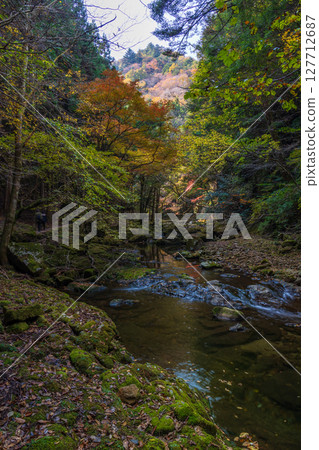 三重縣名張的秋天：赤目四十八瀑的紅葉 127712687
