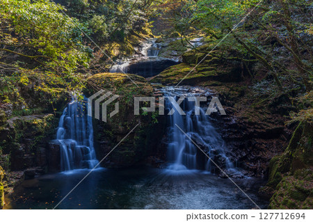 Autumn in Nabari, Mie Prefecture: Autumn leaves at Akame 48 Waterfalls, Niitandaki Waterfall (Akame Five Waterfalls) 127712694