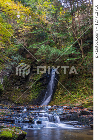 Autumn in Nabari, Mie Prefecture: Autumn leaves at Akame 48 Waterfalls, Biwa Waterfall (Akame Five Waterfalls) 127712710