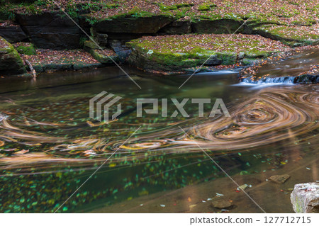 Autumn in Nabari, Mie Prefecture - Autumn leaves at Akame 48 Falls - Art of Fallen Leaves 127712715