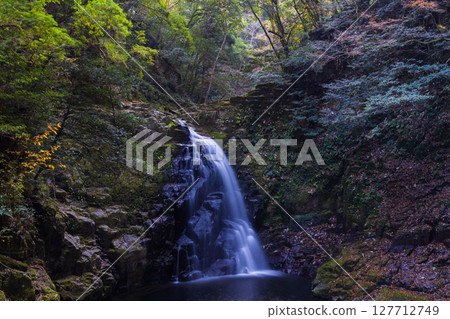 Autumn in Nabari, Mie Prefecture: Autumn leaves at Akame 48 Waterfalls and Fudo Waterfall (Akame Five Waterfalls) 127712749