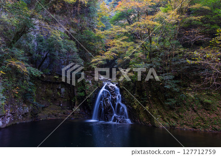 三重縣名張的秋天：赤目四十八瀑布、千手瀑布（赤目五瀑布）的紅葉 127712759