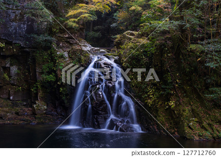 Autumn in Nabari, Mie Prefecture: Autumn leaves at Akame 48 Waterfalls, Senju Waterfall (Akame Five Waterfalls) 127712760