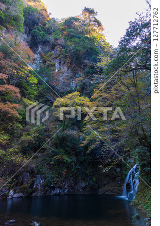 三重縣名張的秋天：赤目四十八瀑布、千手瀑布（赤目五瀑布）的紅葉 127712762
