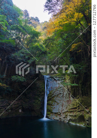 三重縣名張的秋天：赤目四十八瀑布、布引瀑布（赤目五瀑布）的紅葉 127712766