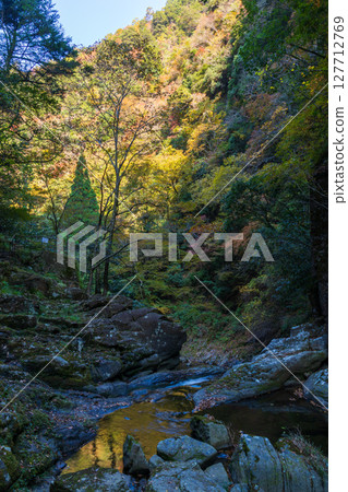 Autumn in Nabari, Mie Prefecture: Autumn leaves at Akame 48 Falls Autumn in Nabari, Mie Prefecture: Autumn leaves at Akame 48 Falls 127712769