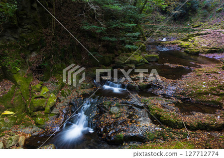 Autumn in Nabari, Mie Prefecture: Autumn leaves at Akame 48 Falls 127712774