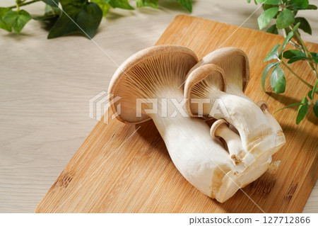 king oyster mushroom king oyster mushroom 127712866