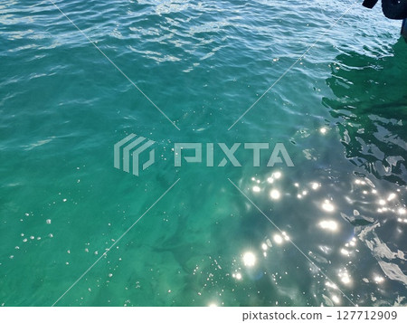 翡翠綠海表面 翡翠綠海表面 127712909