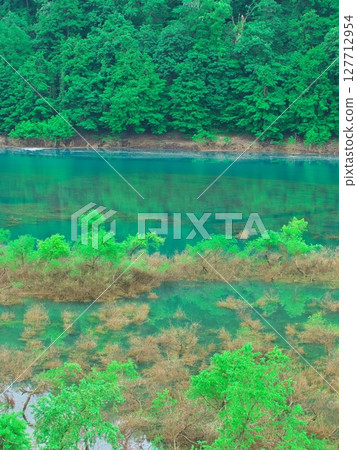 Fresh greenery on Lake Akiogi in Akita Prefecture - Submerged forest reflecting in the water Fresh greenery on Lake Akiogi in Akita Prefecture - Submerged forest reflecting in the water 127712954