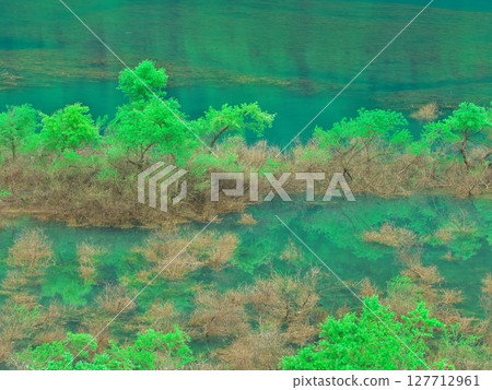 Fresh greenery on Lake Akiogi in Akita Prefecture - Submerged forest reflecting in the water Fresh greenery on Lake Akiogi in Akita Prefecture - Submerged forest reflecting in the water 127712961