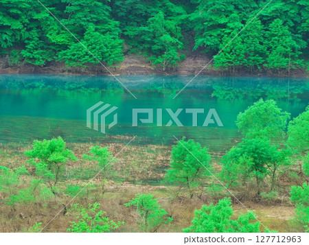 Fresh greenery on Lake Akiogi in Akita Prefecture - Submerged forest reflecting in the water Fresh greenery on Lake Akiogi in Akita Prefecture - Submerged forest reflecting in the water 127712963