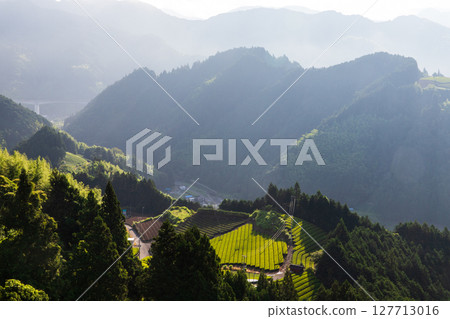 Tea plantations in the sky 127713016