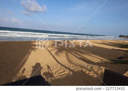 View of Narigama Beach and shadows of palm trees, Sri Lanka View of Narigama Beach and shadows of palm trees, Sri Lanka 127713432