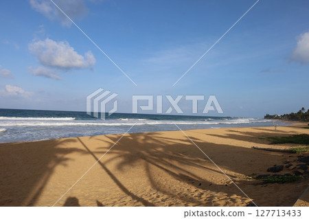 View of Narigama Beach and shadows of palm trees, Sri Lanka View of Narigama Beach and shadows of palm trees, Sri Lanka 127713433