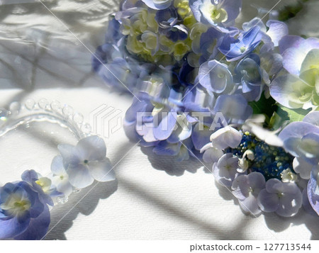 繡球花 127713544