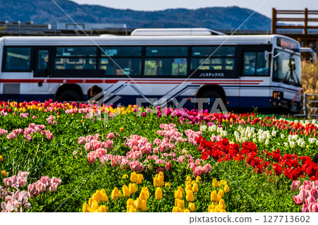 2025年高柳鬱金香節（搭乘巴士）[長崎市] 127713602