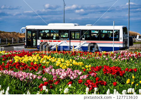 Koyagi Tulip Festival 2025 with a bus [Nagasaki City] 127713610