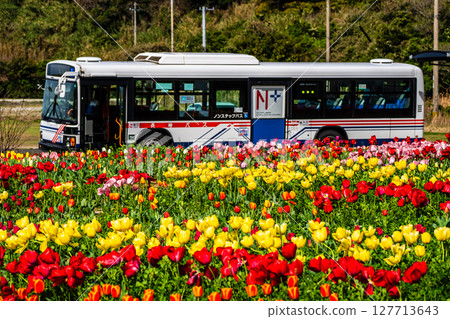 Koyagi Tulip Festival 2025 with a bus [Nagasaki City] 127713643