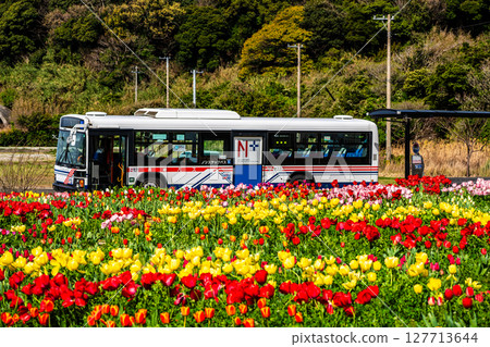 Koyagi Tulip Festival 2025 with a bus [Nagasaki City] 127713644