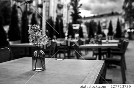 Minimalistic Beauty of a Flower in Black and White 127713729