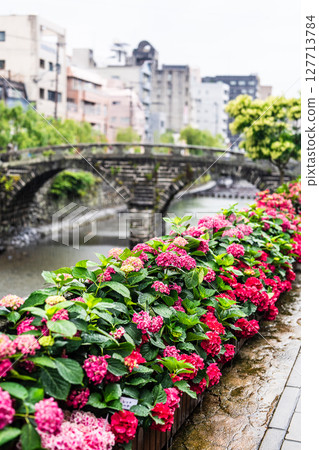 雨天的眼鏡橋上的繡球花[長崎市] 127713784