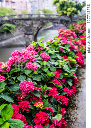 雨天的眼鏡橋上的繡球花[長崎市] 127713788