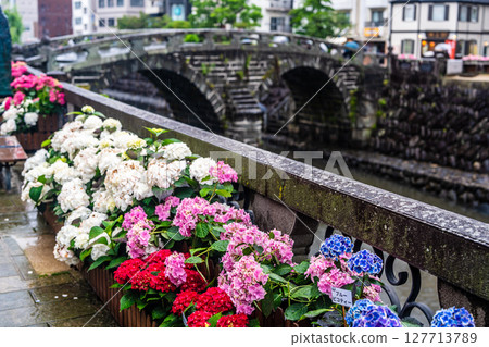 雨天的眼鏡橋上的繡球花[長崎市] 127713789