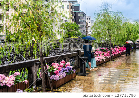 雨天的眼鏡橋上的繡球花[長崎市] 127713796