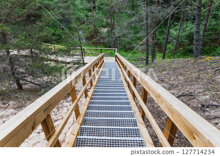 Wooden stair boardwalk descending through coastal pine forest dunes Wooden stair boardwalk descending through coastal pine forest dunes 127714234