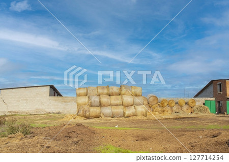 Straw bales on a farm in a field, against a blue sky, seasonal harvest, autumn. 127714254