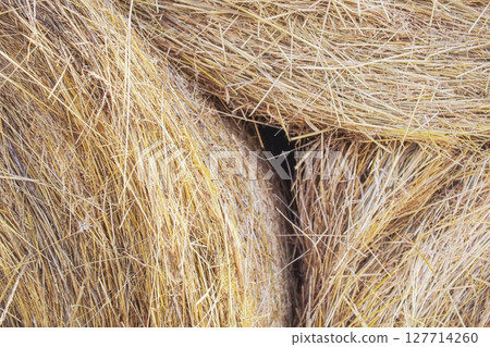 Straw bale texture background. Close-up of a hay bale. Stacks of hay stacked in a field. 127714260