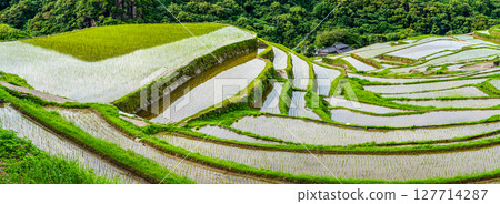 Onakao Rice Terrace Panorama after rice planting [Nagasaki City] 127714287
