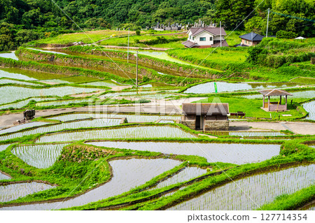 Onakao rice terraces after rice planting [Nagasaki City] 127714354