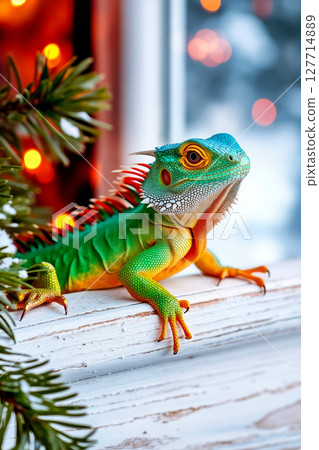 A green and orange lizard sitting on a window sill next to a Christmas tree 127714889
