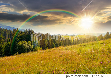 mountain landscape with fir forest on the hill in summer at sunset. hiking through beautiful nature scenery of alpine countryside in evening light. scenic view of woodland under cloudy sky and rainbow mountain landscape with fir forest on the hill in summer at sunset. hiking through beautiful nature scenery of alpine countryside in evening light. scenic view of woodland under cloudy sky and rainbow 127716359